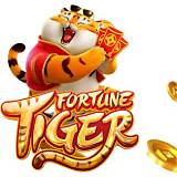 betzest fortune tiger bet